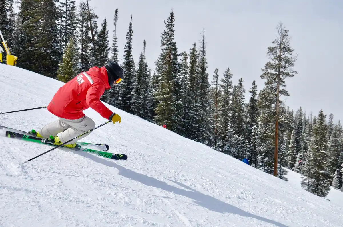 European Common Training Test - ski office